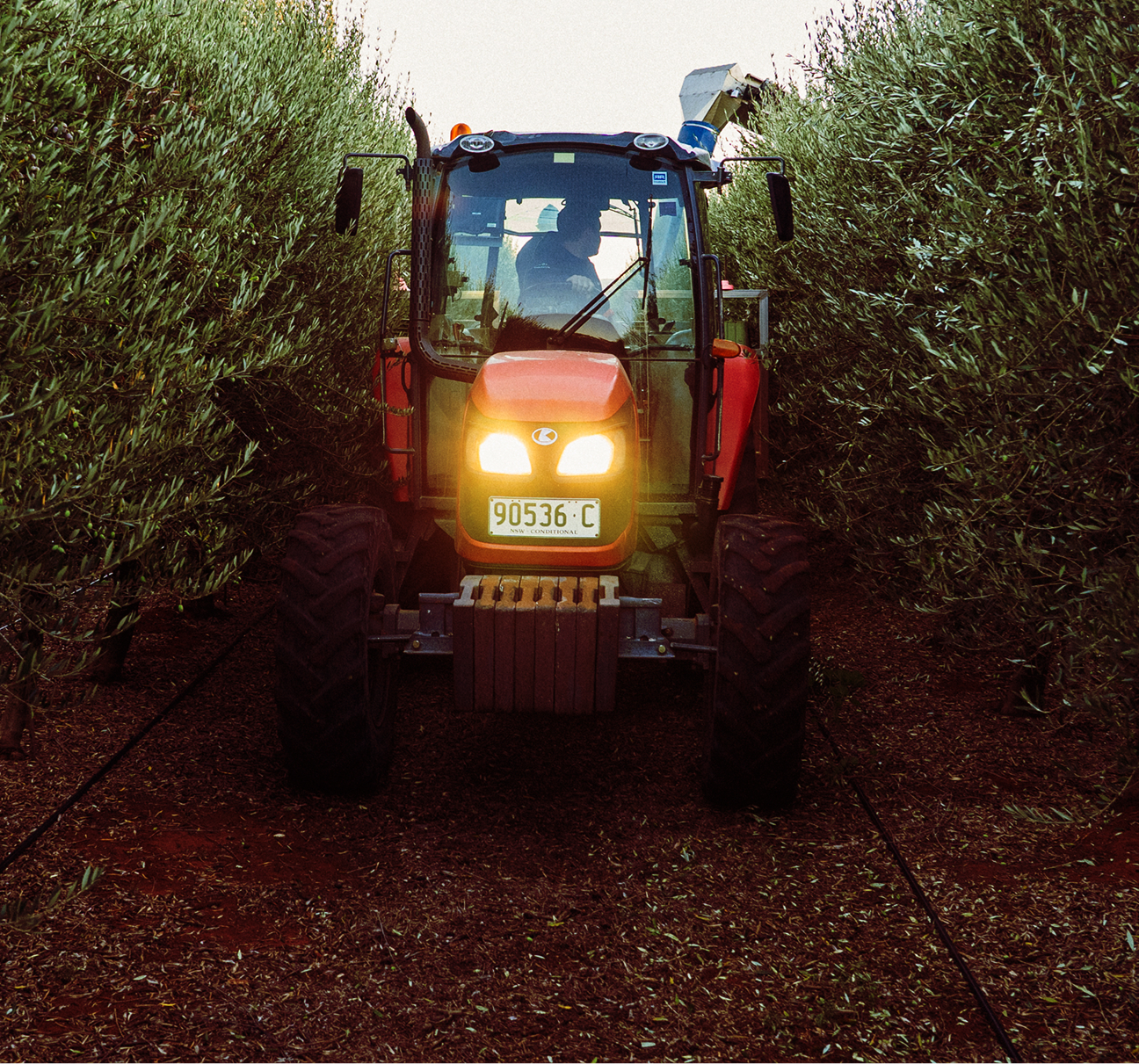 Harvesting early
